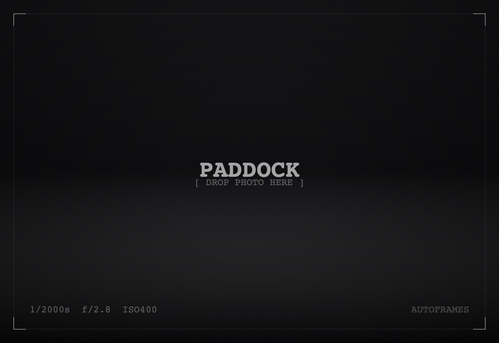 Paddock and portraits album cover